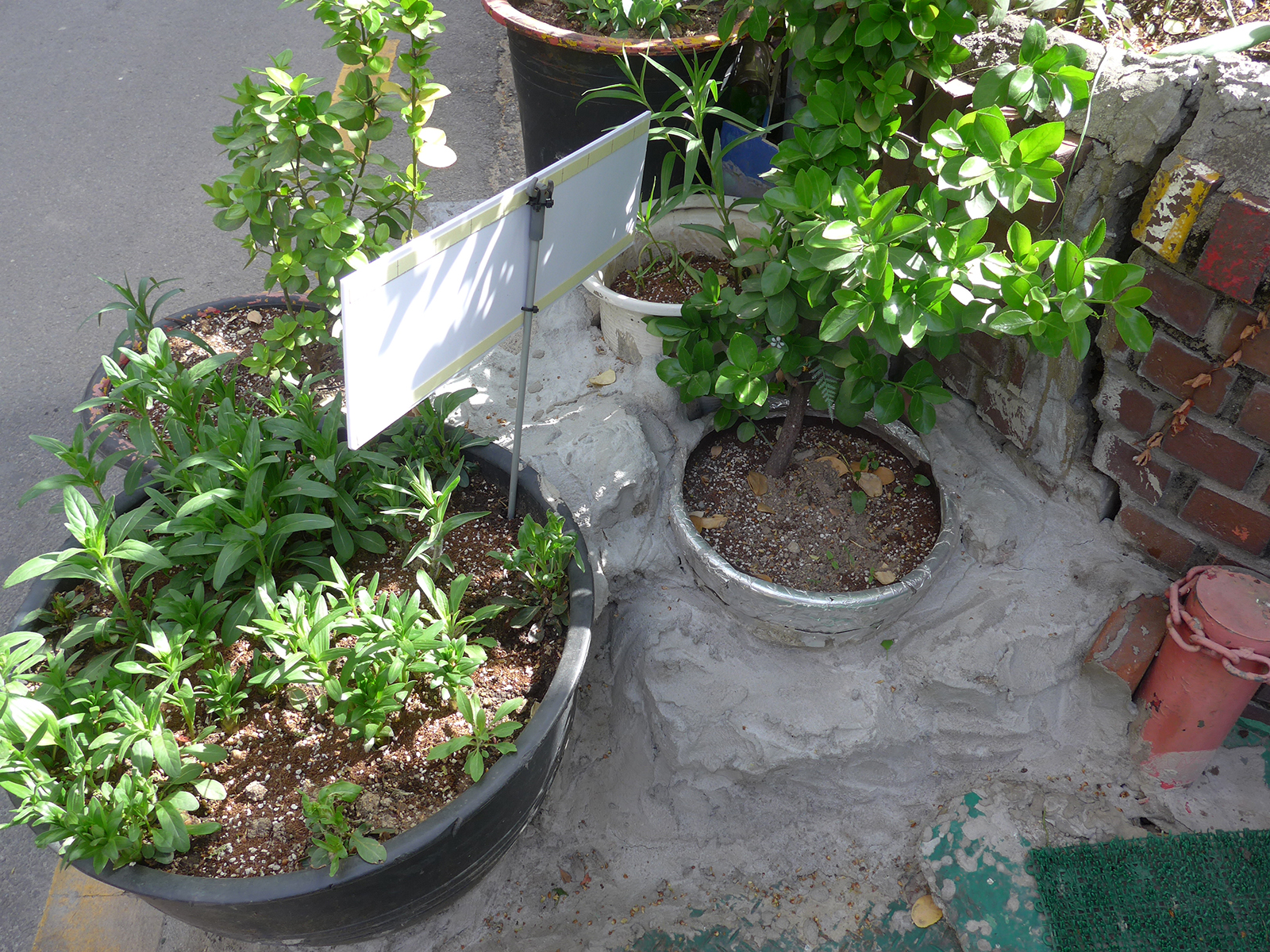 만져도 됩니다. 하지만 눈을 비비지 마세요.